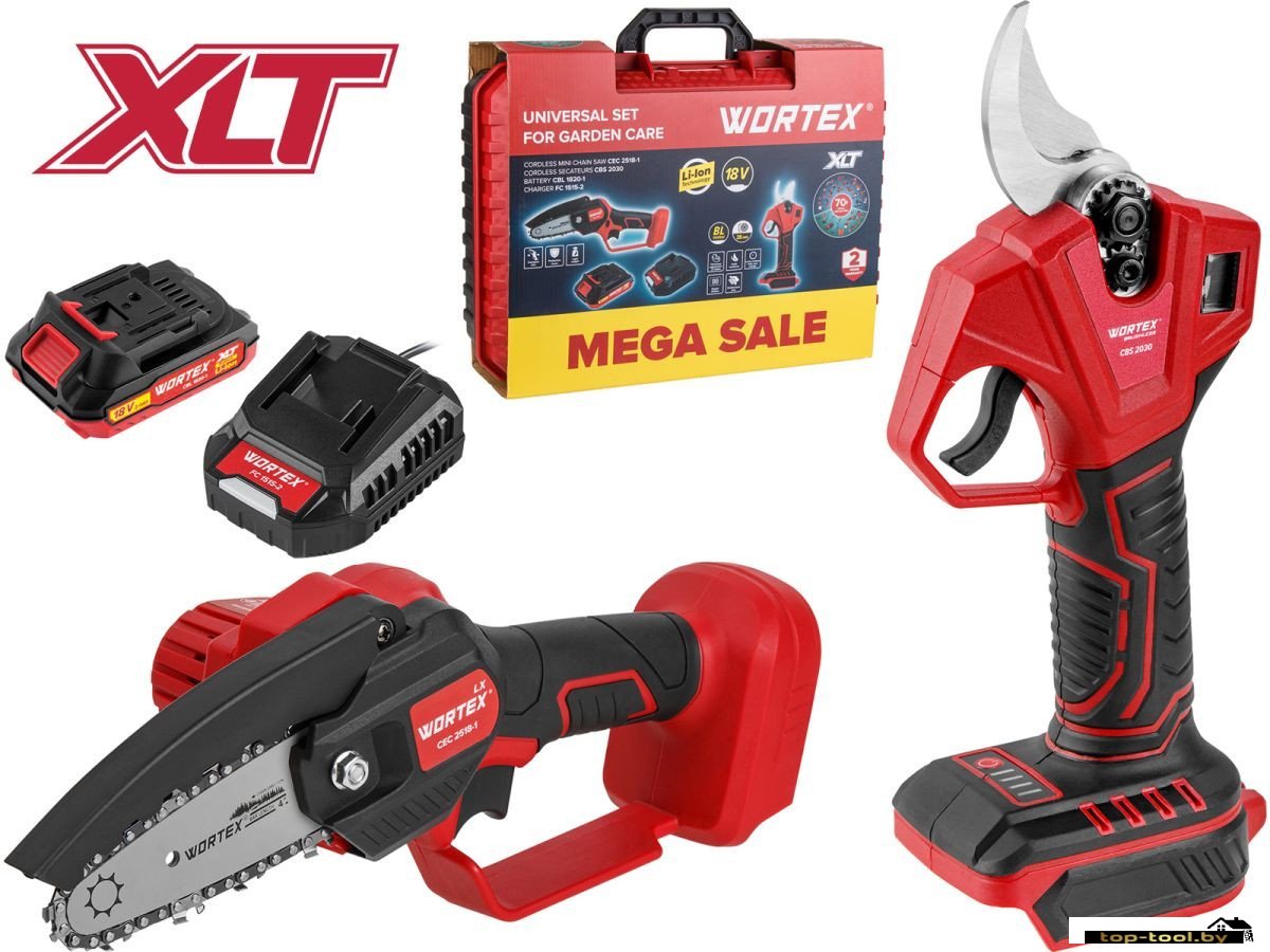 Wortex 1329851 (цепная пила, секатор, 1 АКБ, кейс)